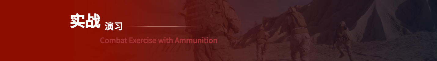 Combat Exercise